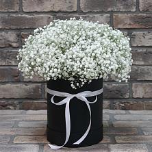 Цветочная композиция из Гипсофила в шляпной коробке в Октябрьском Архангельской области